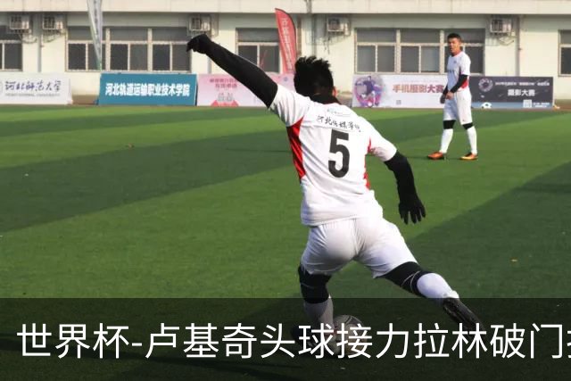 世界杯-卢基奇头球接力拉林破门扳平 加拿大1-1波黑